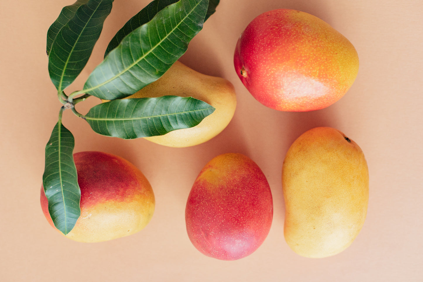 Shampoo Sólido Mango